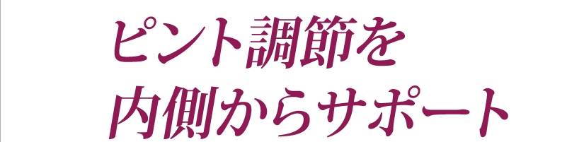 �f�B�f�B�g���j�e�B�[001���T�C�g